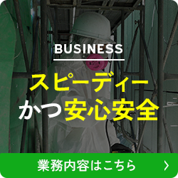 bnrhalf_business